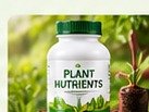Plant Nutrients