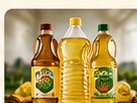 Fortune Cooking Oil