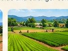 Farm Land